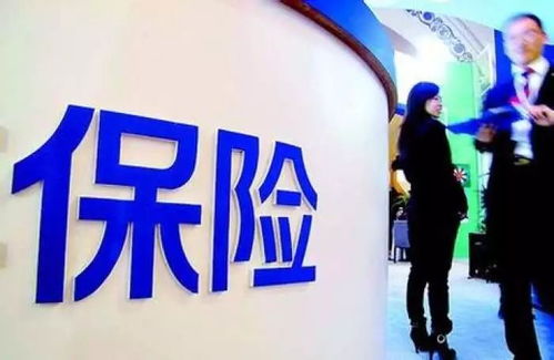 新规赋能民生 十一月的政策清风与你我息息相关